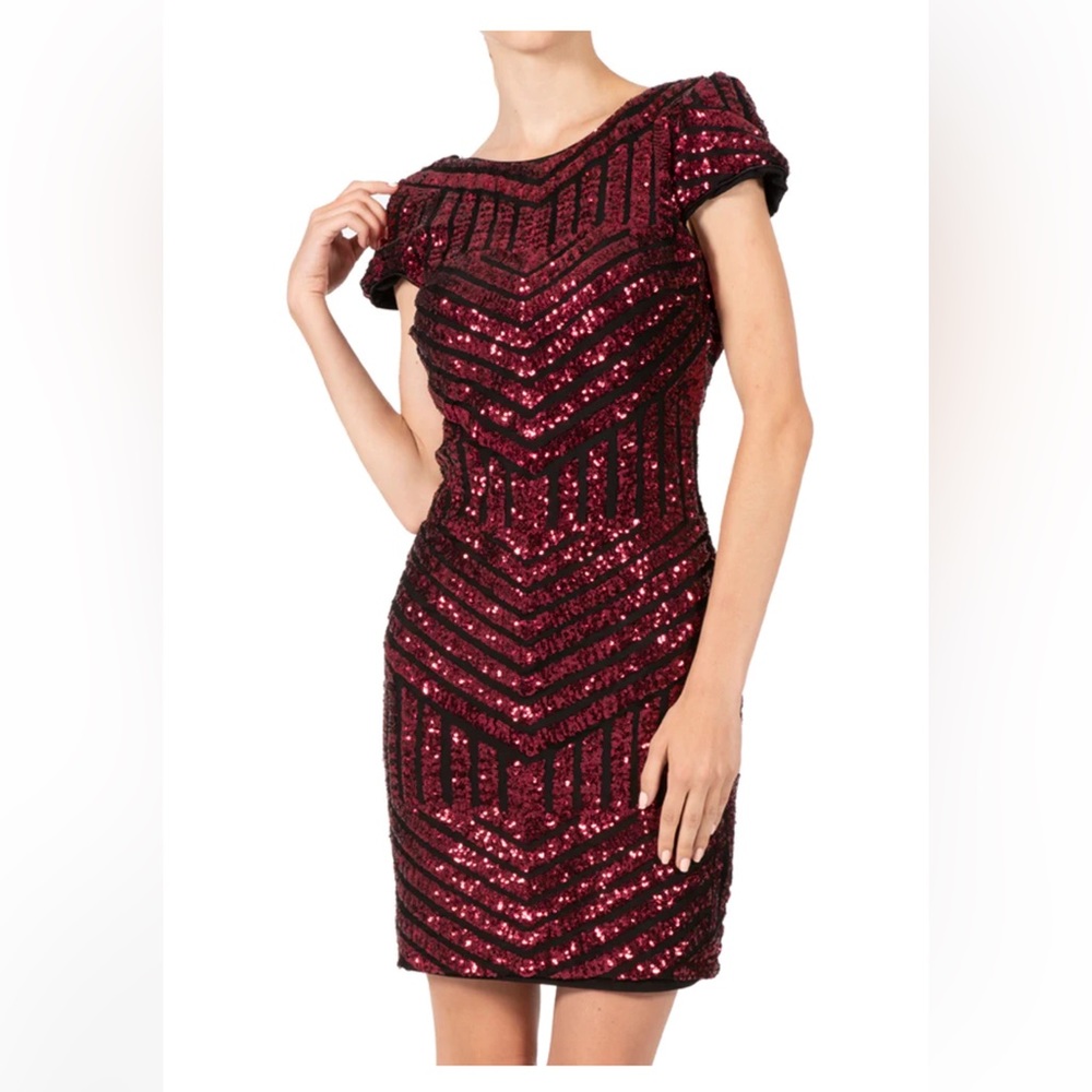 Dress the Population Tabitha Dress Size S